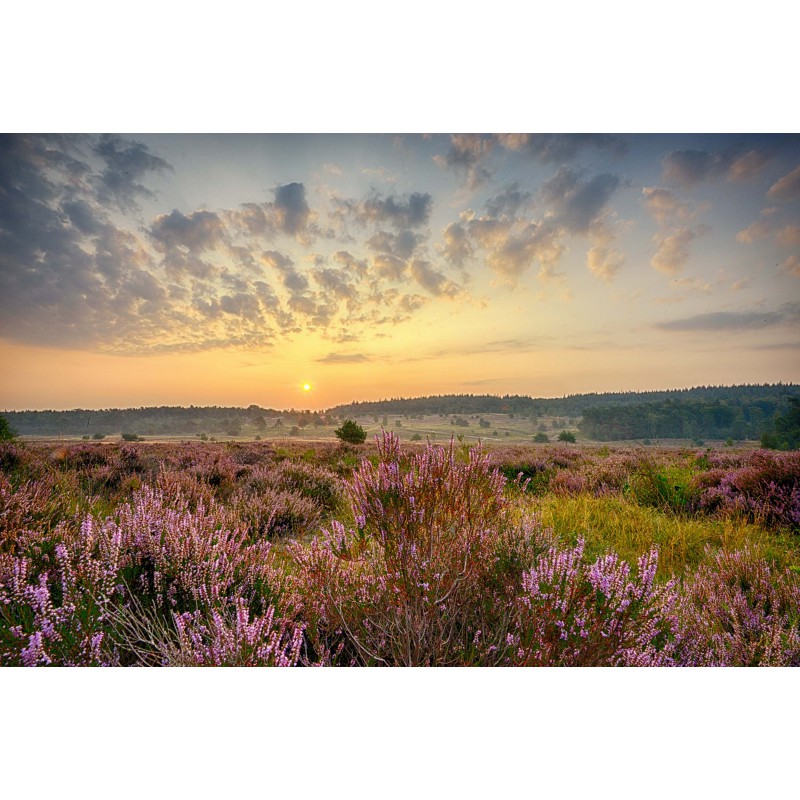 Posbank Rheden Panorama