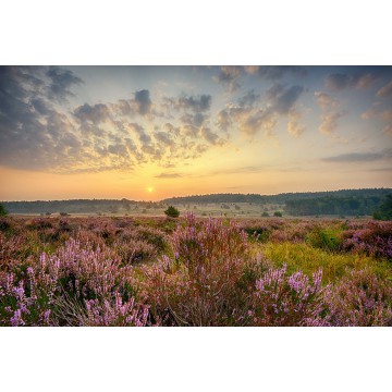 Posbank Rheden Panorama