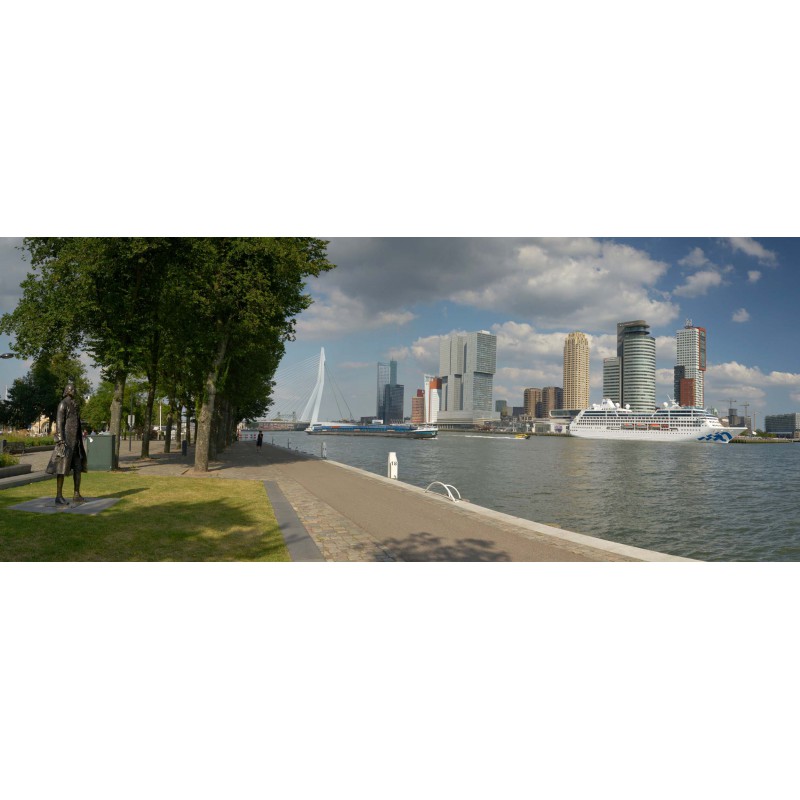 Fotowand, fotobehang, muurposter Rotterdam Skyline en Erasmusbrug, kop van zuid