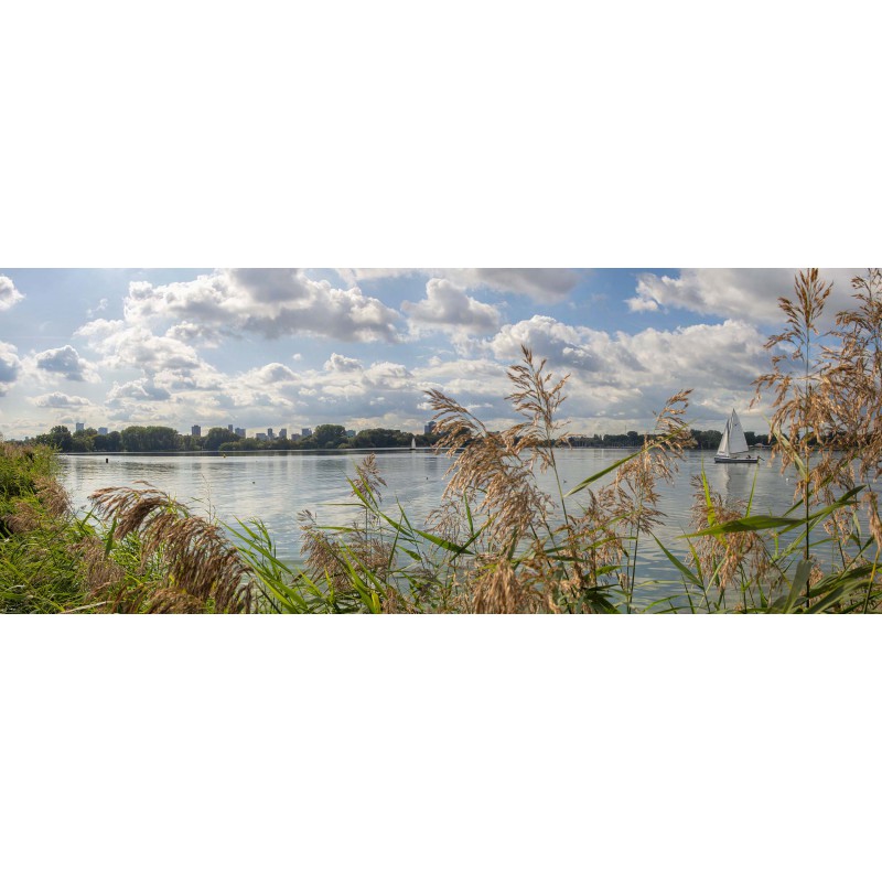 fotowand, fotobehang muurposter van Kralingse plassen Rotterdam