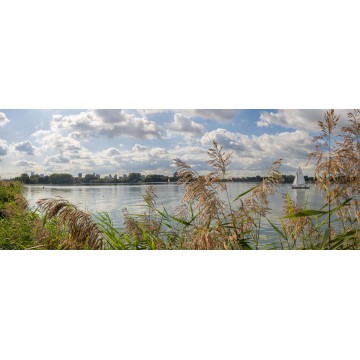 fotowand, fotobehang muurposter van Kralingse plassen Rotterdam