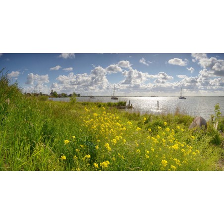 fotobehang wallpaper fotowand durgerdam bloemen zon in het water wolken