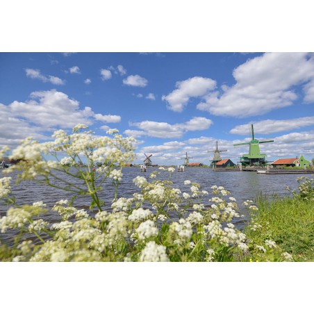 fotowand fotobehang wallpaper molens zaanse schans fotowandenshop