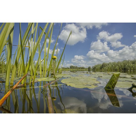 Fotowand Riviertje de Meije Woerdense Verlaat