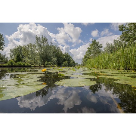 Fotowand Riviertje de Meije Woerdense Verlaat