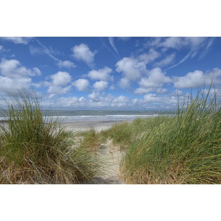 Fotowand duinen en strand Ameland