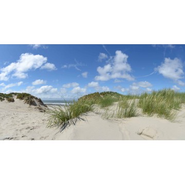 Fotowand fotobehang wallpaper duinen en strand van Ameland. fotobehangmarkt.nl