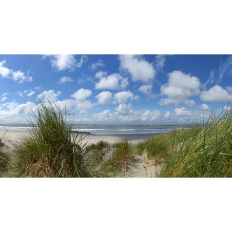 Fotowand fotobehang wallpaper duinen en strand van Ameland. fotobehangmarkt.nl