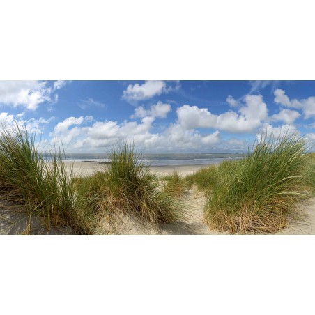 Fotowand fotobehang wallpaper duinen en strand van Ameland. fotobehangmarkt.nl