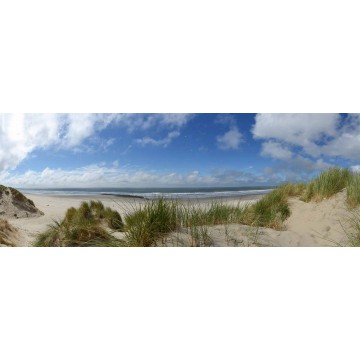 copy of Fotowand duinen en strand Ameland