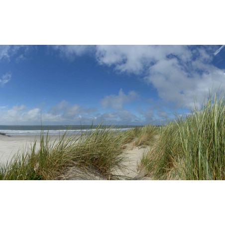 Fotowand fotobehang wallpaper duinen en strand van Ameland. fotobehangmarkt.nl