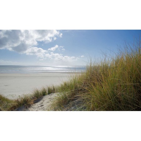 copy of Fotowand duinen en strand Ameland