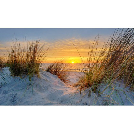 fotobehang fotowand wallpaper zonsondergang in de duinen van Ameland