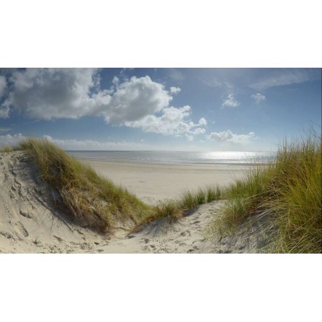 fotobehang fotowand wallpaper zonsondergang in de duinen van Ameland