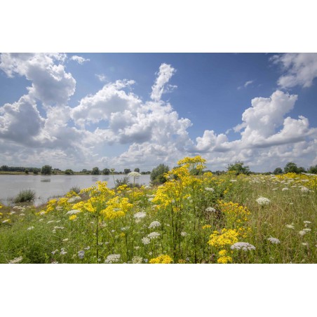 Fotowand van de Rijn bij Wageningen