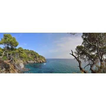 Fotowand fotobehang rotskust met dennenbomen cote d'azur zuid frankrijk Fotowand fotobehang rotskust met dennenbomen cote d'azur zuid frankrijk