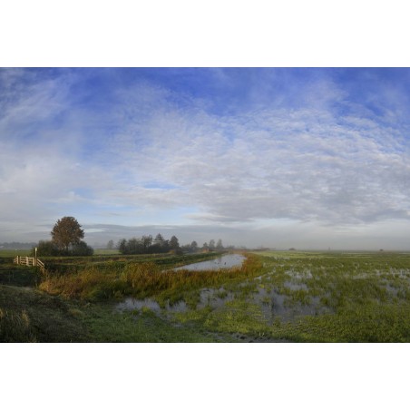 Deze prachtige natuurfoto van het binnenveld bij het riviertje de Grift lijkt wel een schilderij