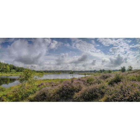 fotowand fotobehang Hatertse vennen bij Nijmegen