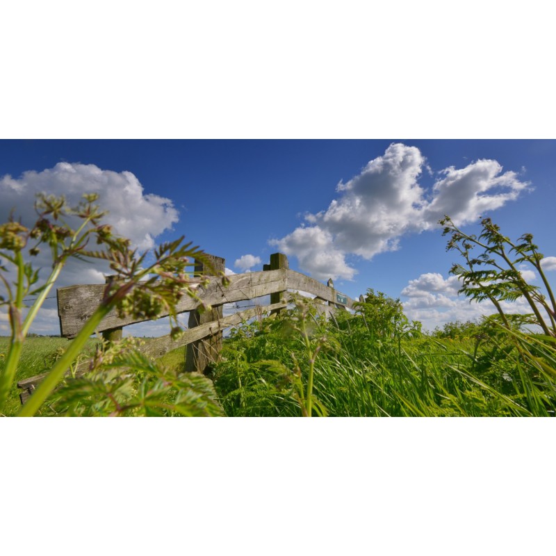 Fotowand fotobehang Eemland hek in weiland fotowandenshop.nl
