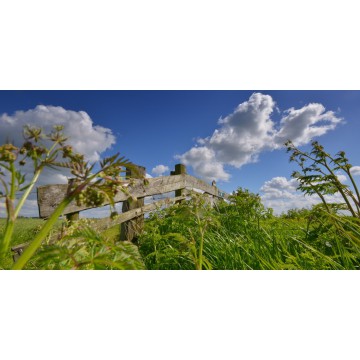 Fotowand fotobehang Eemland hek in weiland fotowandenshop.nl