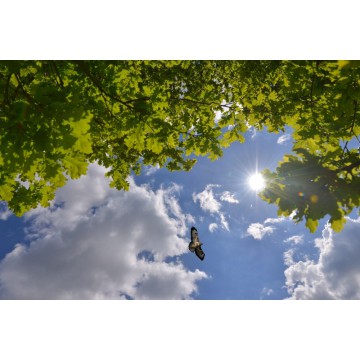 Wolkenluchten Wolkenluchten