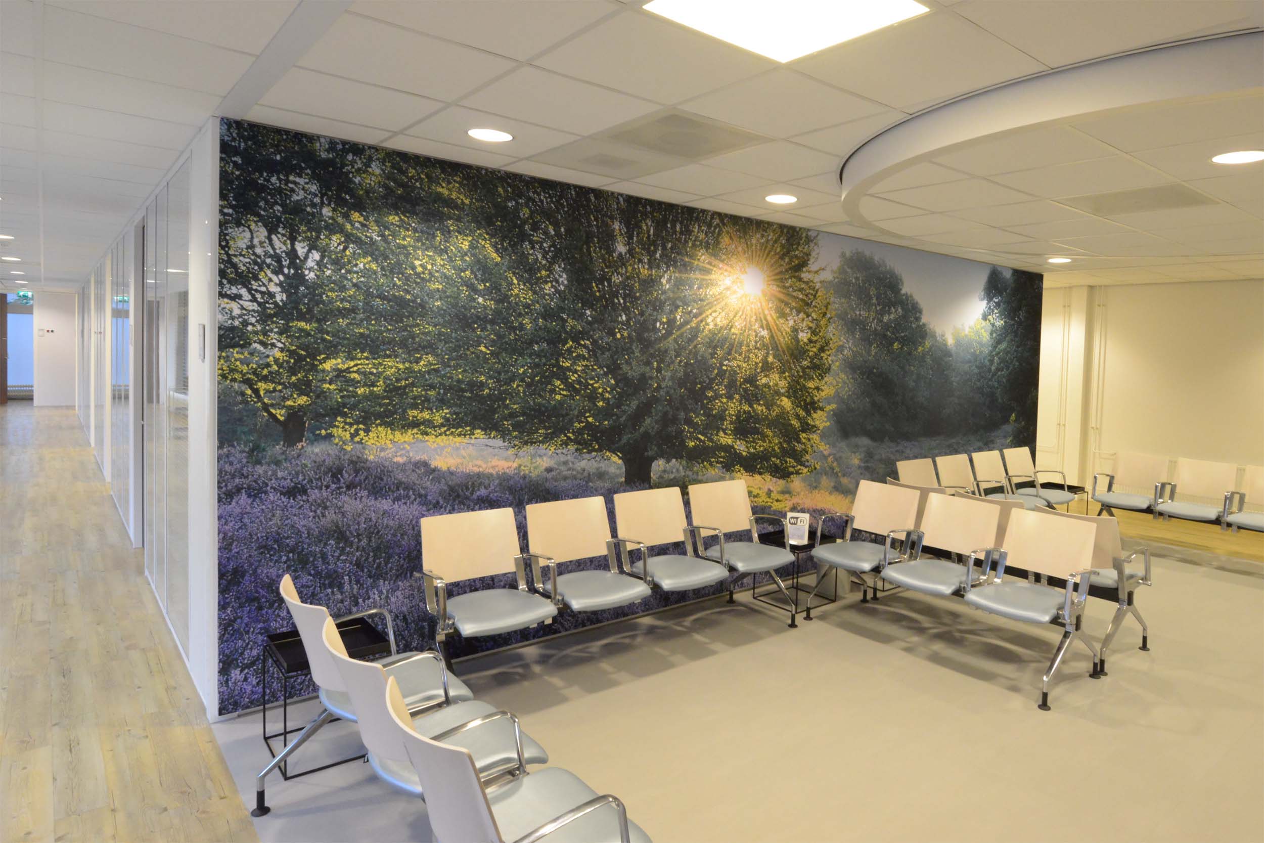 fotowand wachtkamer huisarts